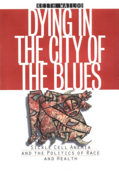 Cover image for book Dying in the City of the Blues