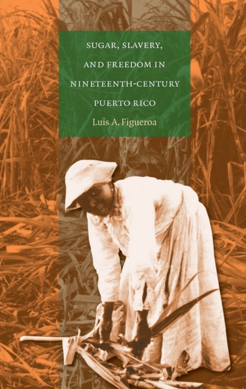 Cover image for book Sugar, Slavery, and Freedom in Nineteenth-Century Puerto Rico