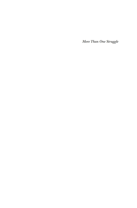 Cover image for book More Than One Struggle