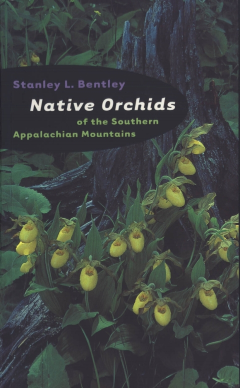 Cover image for book Native Orchids of the Southern Appalachian Mountains