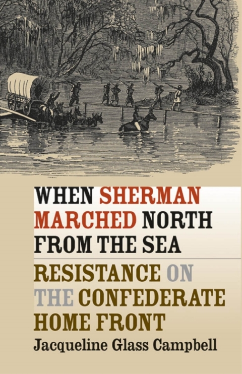 Cover image for book When Sherman Marched North from the Sea