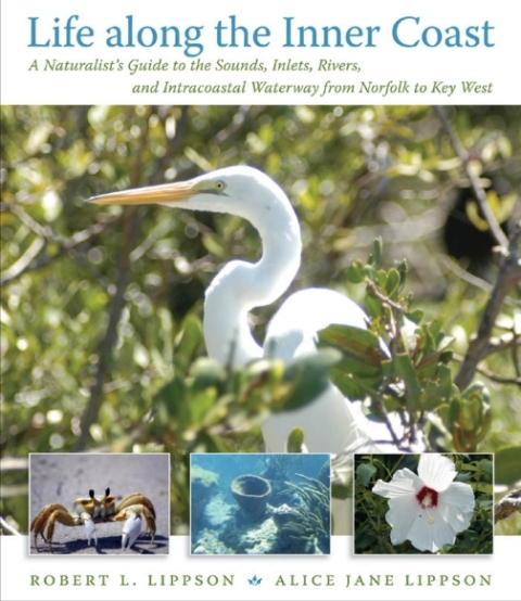 Cover image for book Life along the Inner Coast