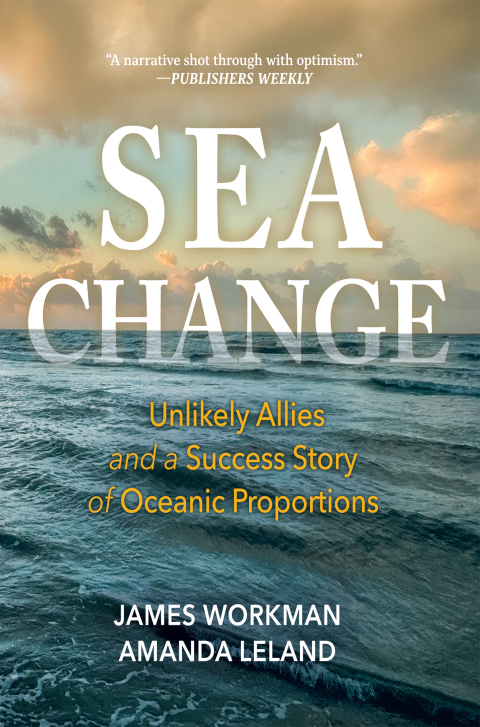 Cover image for book Sea Change