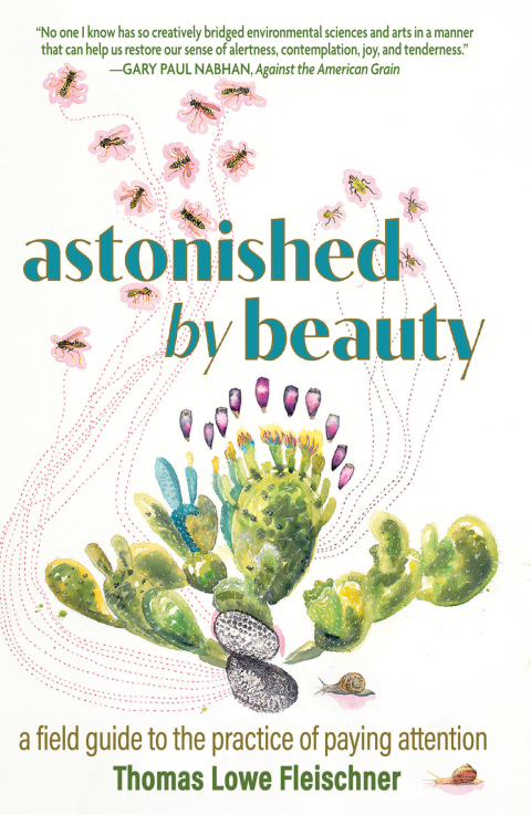 Cover image for book Astonished by Beauty