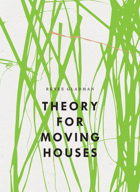 Cover image for book Theory for Moving Houses