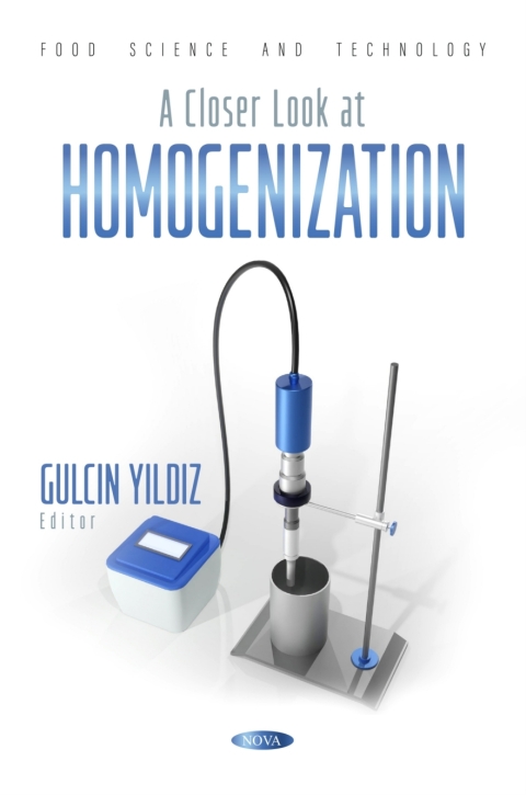 Cover image for book A Closer Look at Homogenization