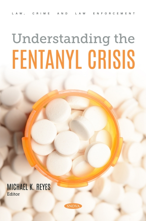 Cover image for book Understanding the Fentanyl Crisis