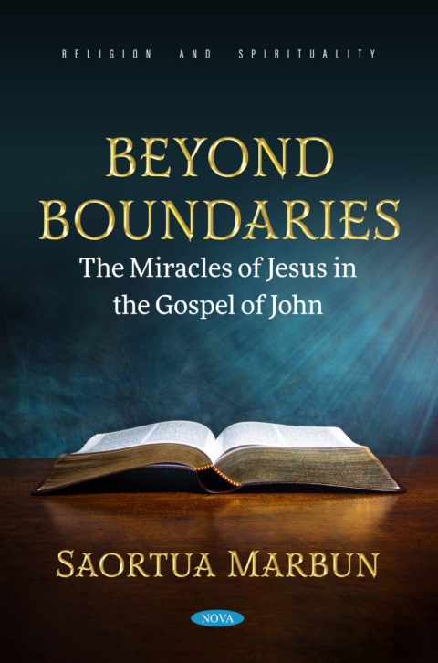 Cover image for book Beyond Boundaries: The Miracles of Jesus in the Gospel of John