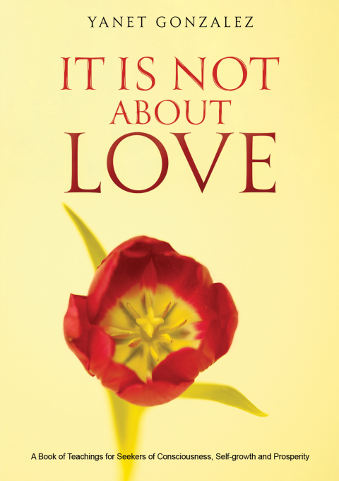 Cover image for book It Is Not About Love