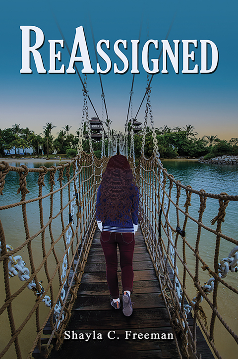 Cover image for book ReAssigned