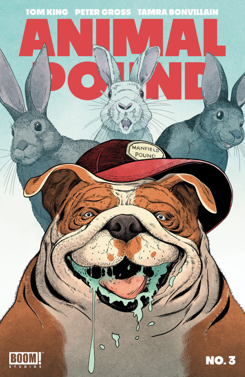 Cover image for book Animal Pound #3