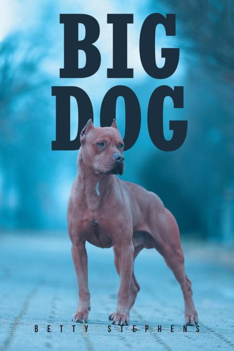 Cover image for book BIG DOG