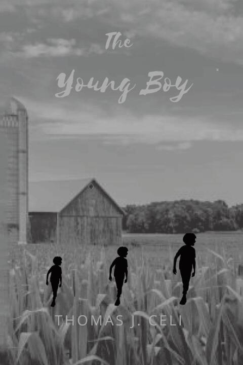Cover image for book The Young Boy