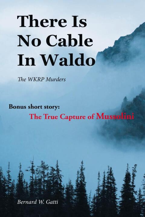 Cover image for book There Is No Cable In Waldo