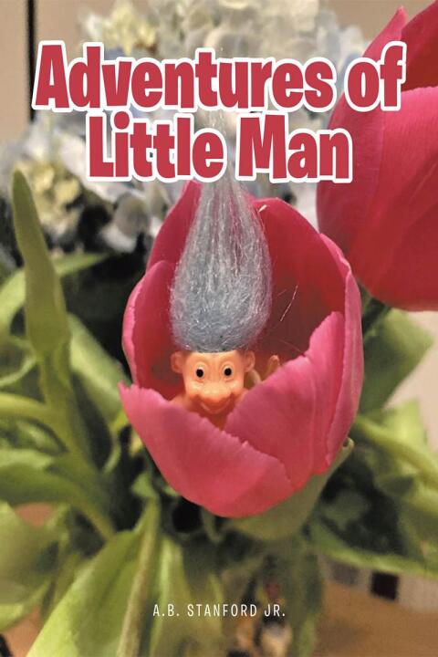 Cover image for book Adventures of Little Man