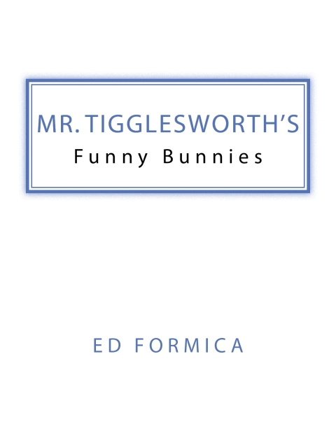 Cover image for book Mr. Tigglesworth's Funny Bunnies