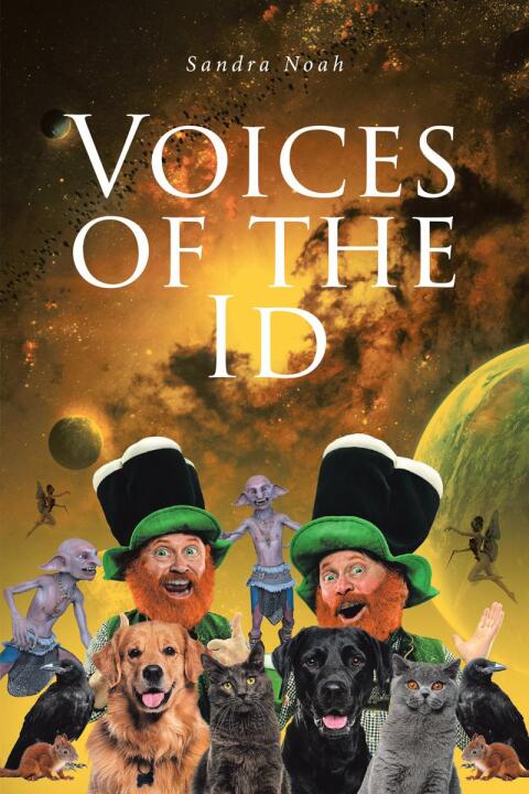 Cover image for book Voices of the ID