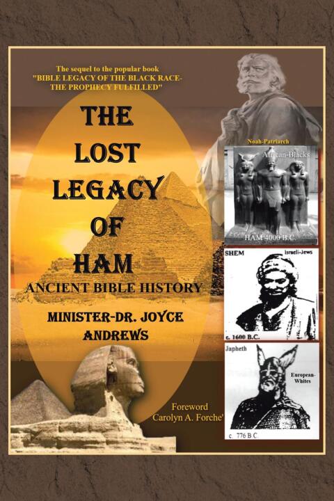 Cover image for book THE LOST LEGACY OF HAM