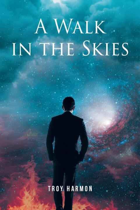 Cover image for book A Walk in the Skies