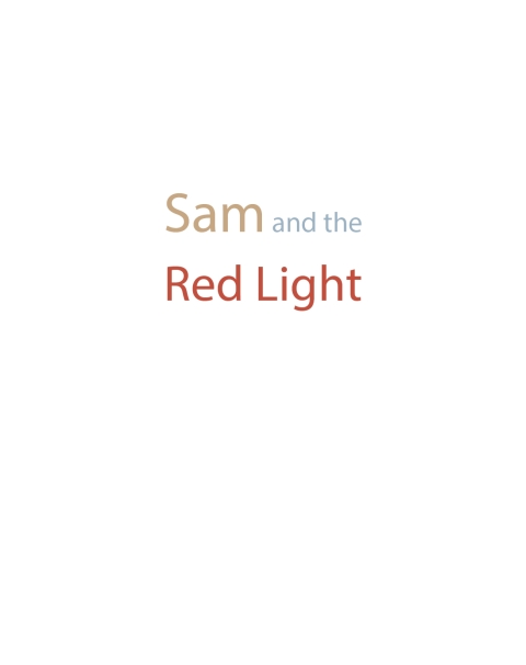 Cover image for book Sam and the Red Light