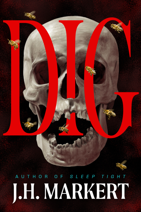 Cover image for book Dig