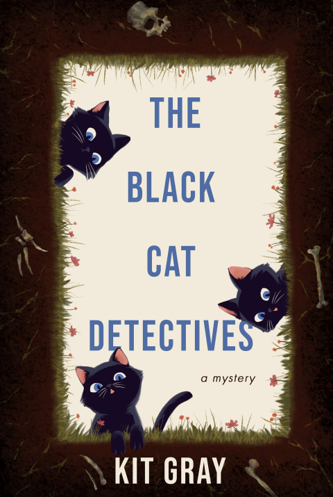 Cover image for book The Black Cat Detectives