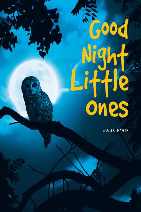 Cover image for book Good Night Little Ones