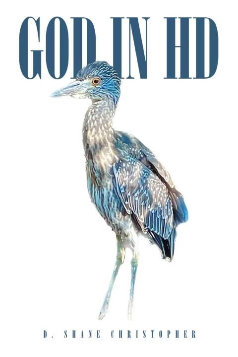 Cover image for book GOD IN HD