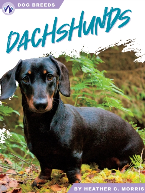 Cover image for book Dachshunds