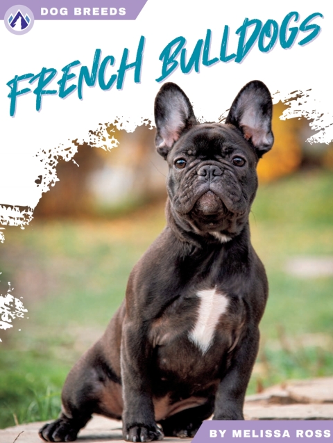 Cover image for book French Bulldogs