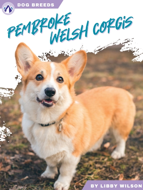 Pembroke Welsh Corgis 