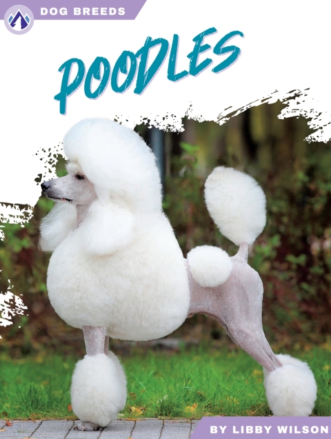 Poodles 