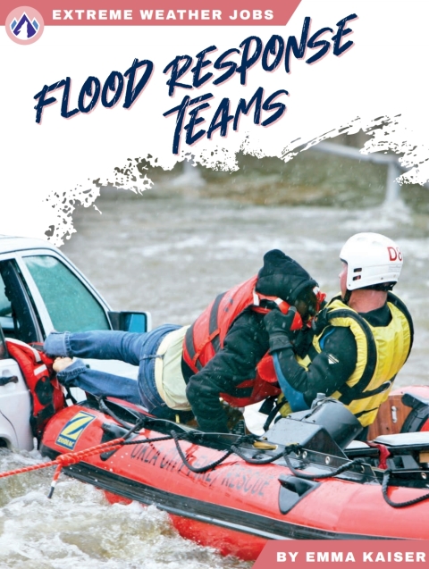 Cover image for book Flood Response Teams