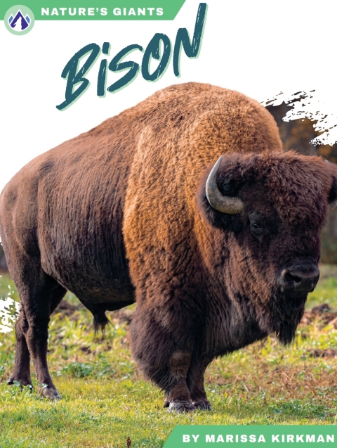 Bison 