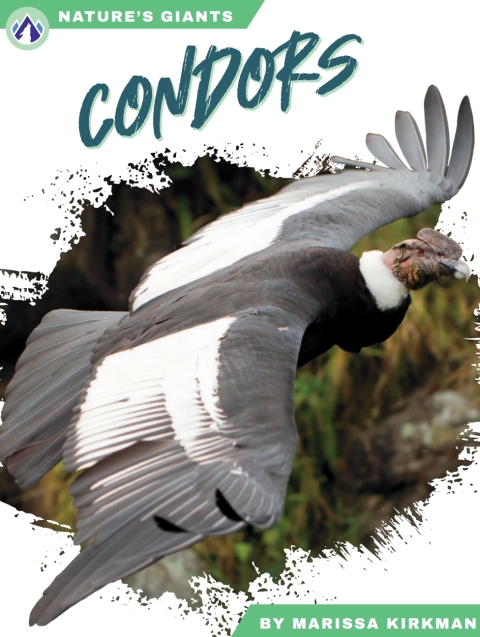 Condors 