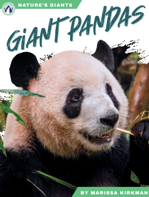 Giant Pandas 