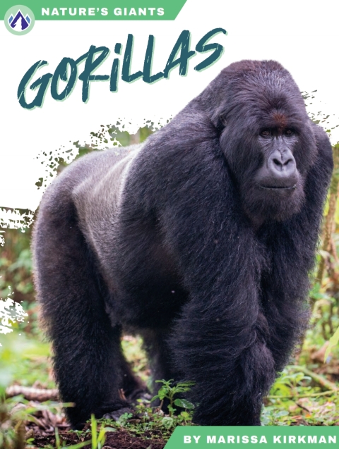 Gorillas 