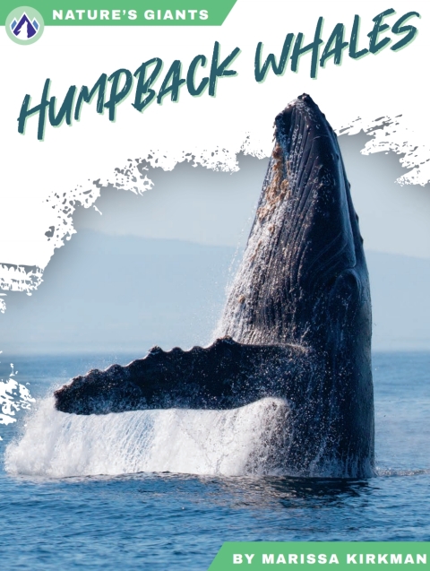 Humpback Whales 