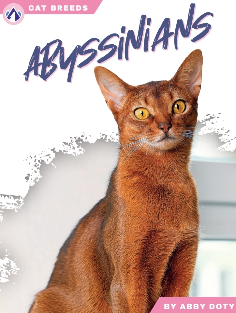 Cover image for book Abyssinians