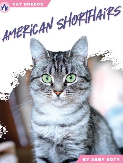 Cover image for book American Shorthairs