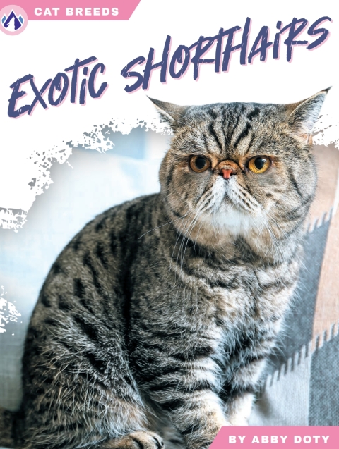 Cover image for book Exotic Shorthairs