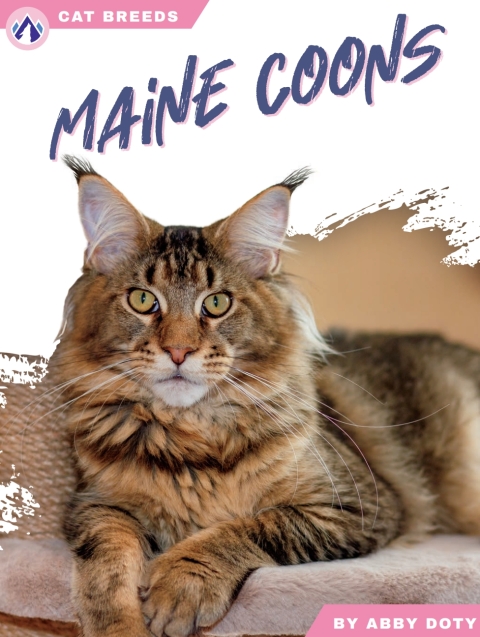 Cover image for book Maine Coons