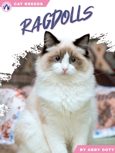 Cover image for book Ragdolls