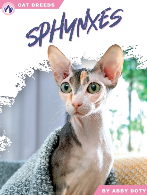 Cover image for book Sphynxes