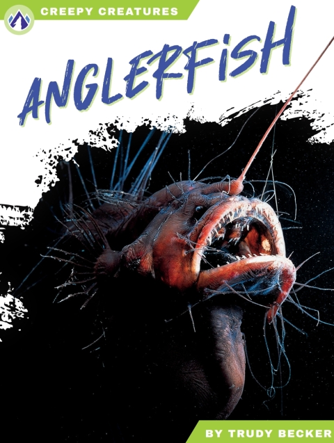 Anglerfish 