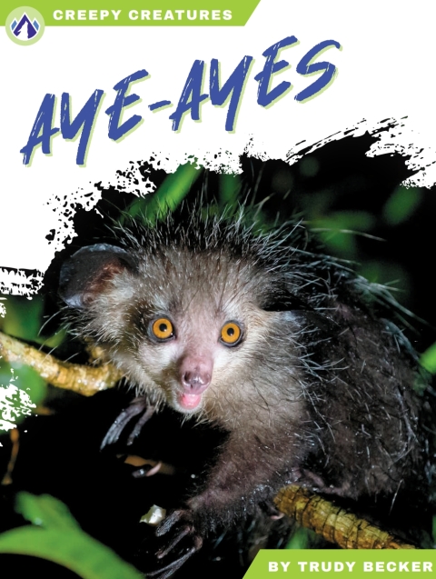 Aye-Ayes 