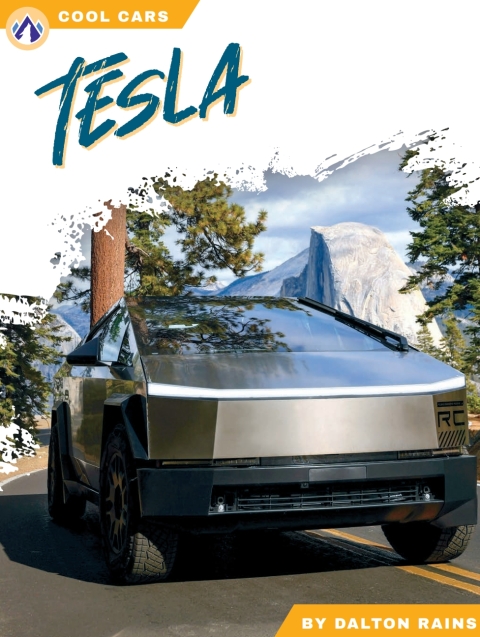 Cover image for book Tesla