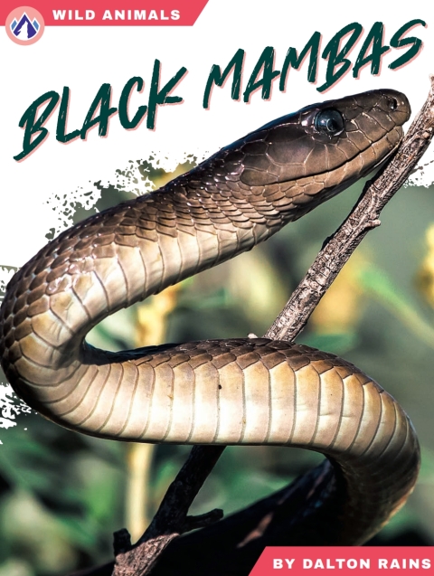 Cover image for book Black Mambas