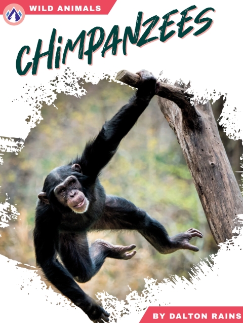 Cover image for book Chimpanzees