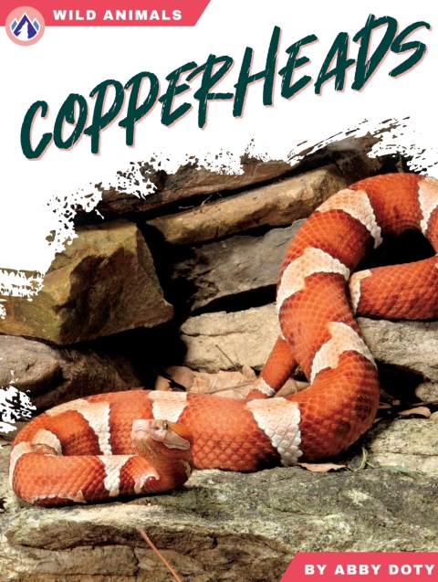 Cover image for book Copperheads